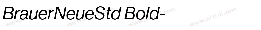 BrauerNeueStd Bold字体转换